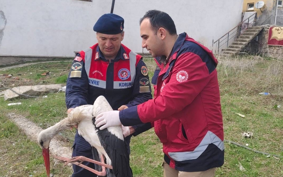 aa-20260411-41078129-41078128-yozgatta-yarali-bulunan-leylek-tedaviye-alindi.jpg