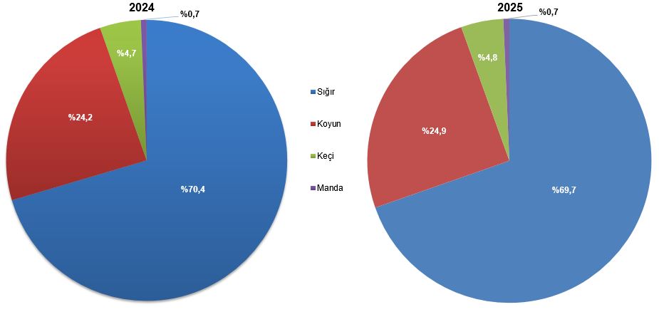 indir-1.png