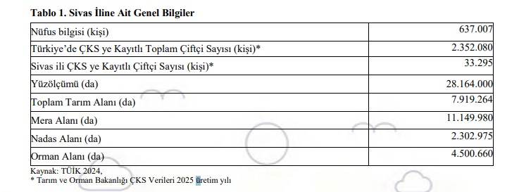 2025-veri.jpg