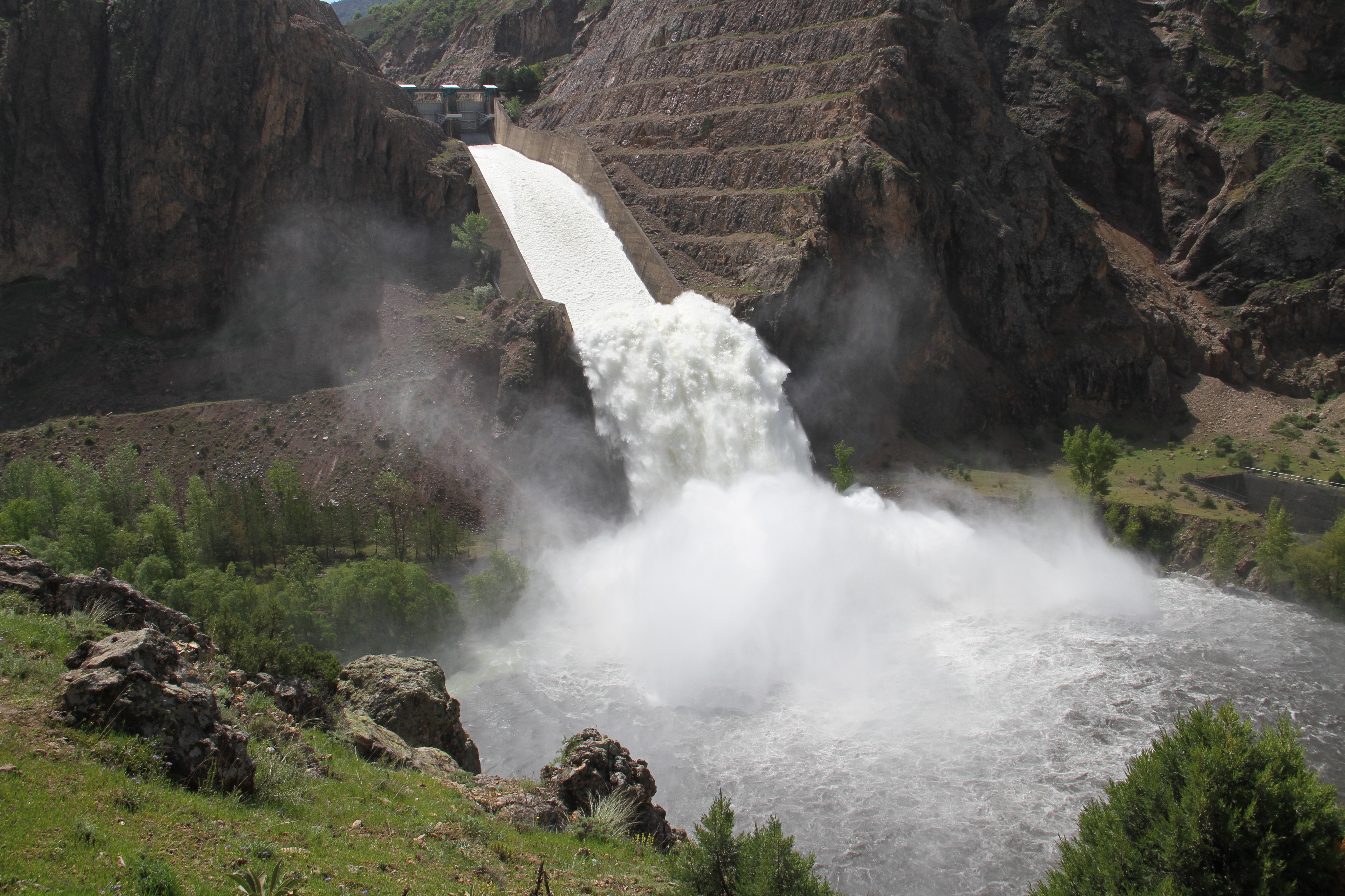 aw704651-04.jpg