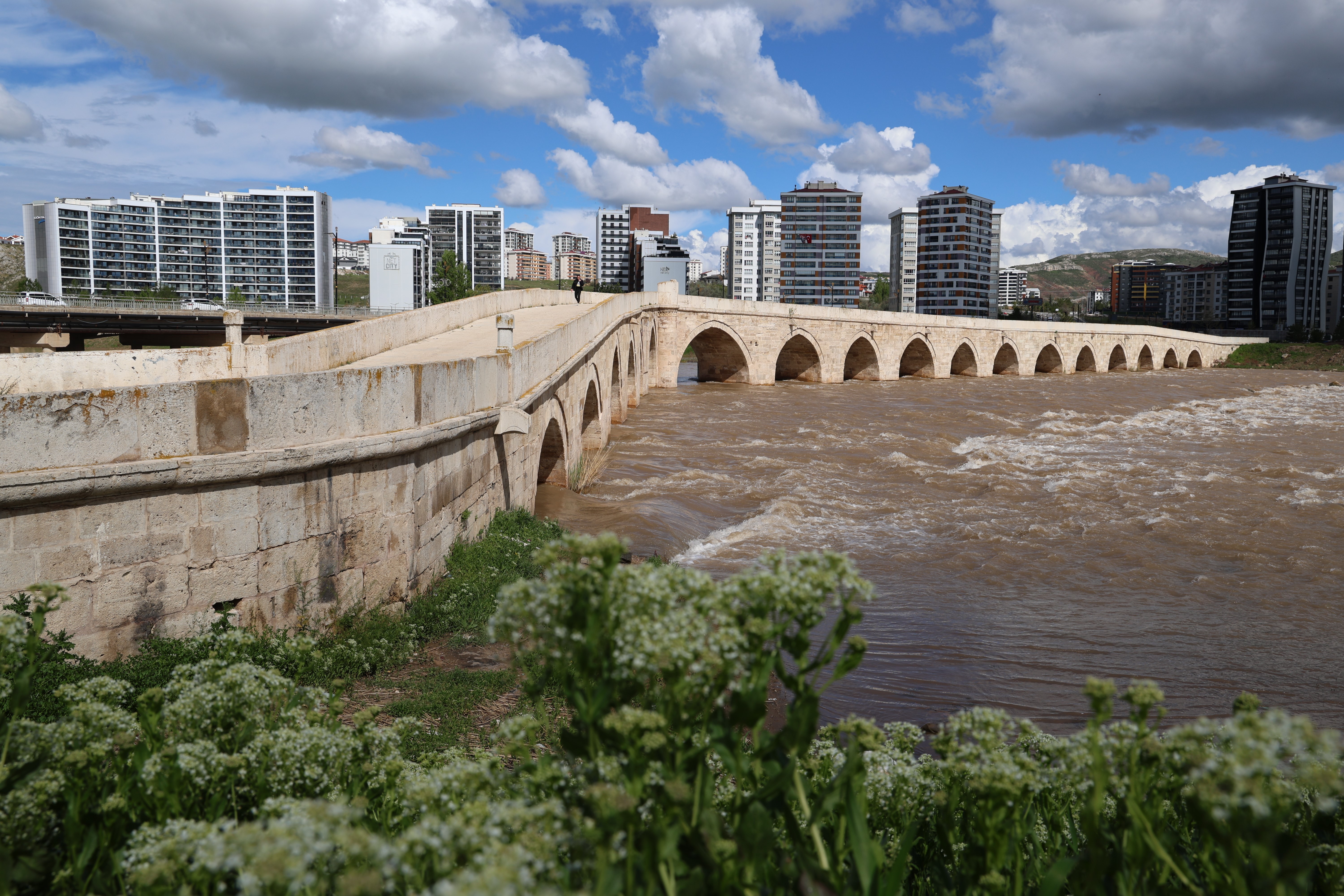 aw711407-05.jpg
