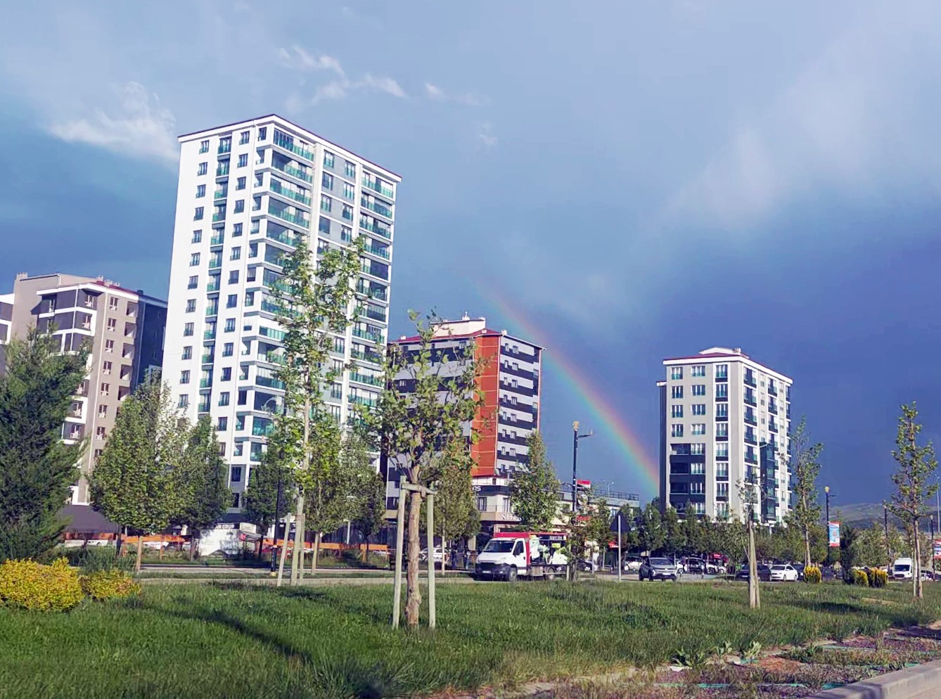 aw717227-06.jpg