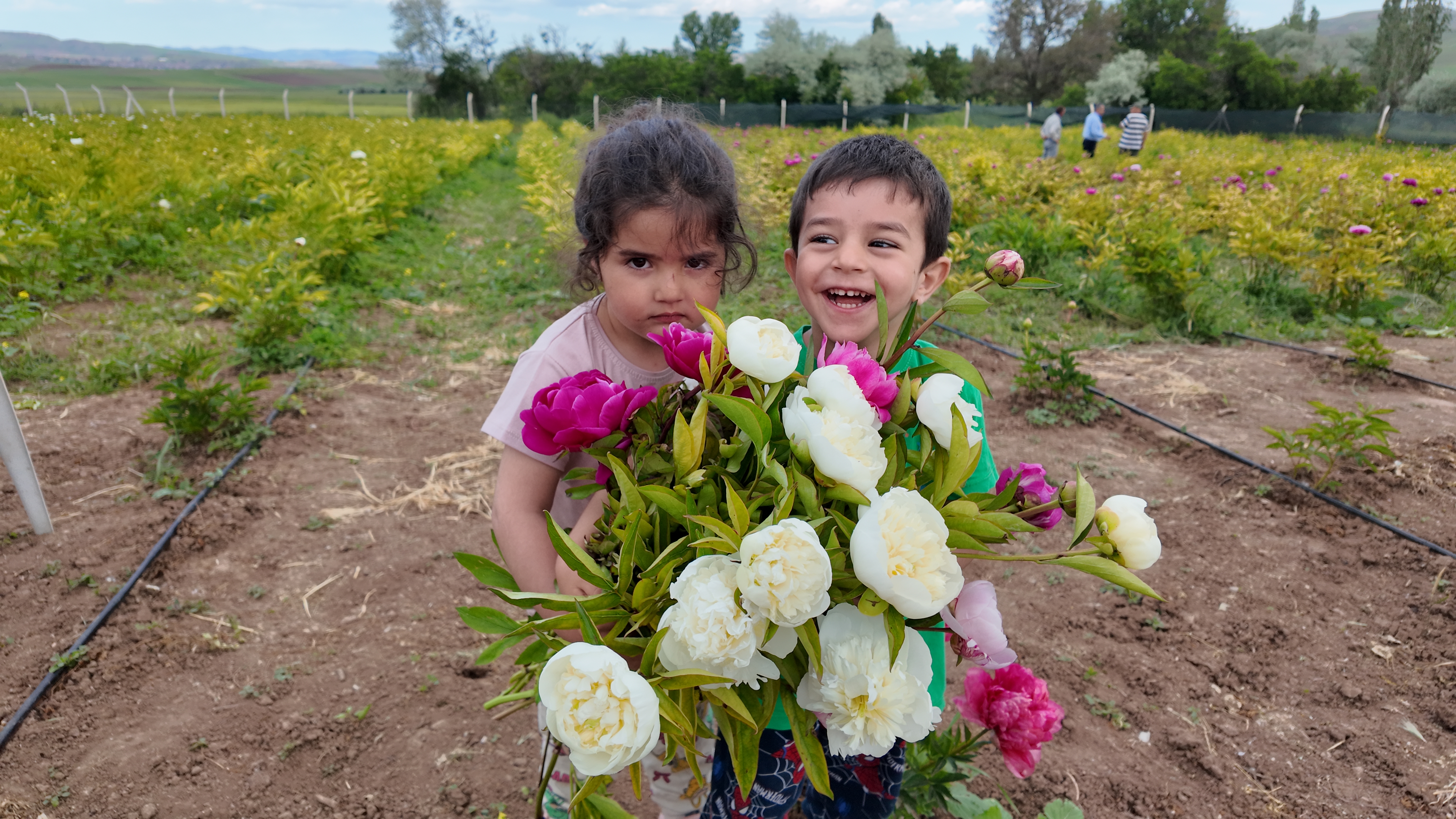 aa-20260611-41636788-41636780-sivasta-sakayik-hasadi-yapildi.jpg