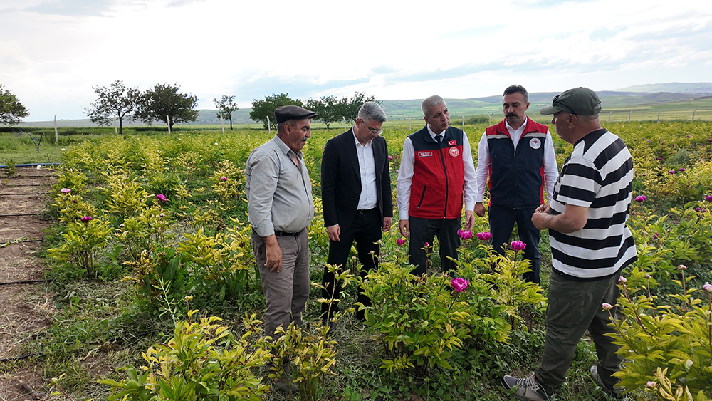 aa-20260611-41636788-41636784-sivasta-sakayik-hasadi-yapildi.jpg
