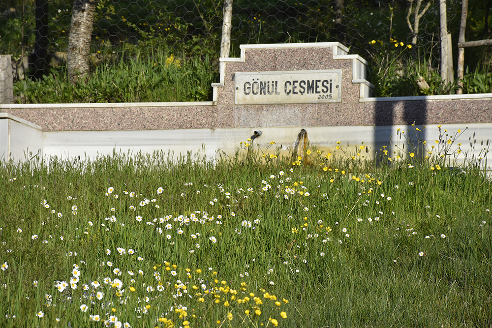 doganin-tum-renkleri-sivasin-akcigeri-1368520-406337.jpg