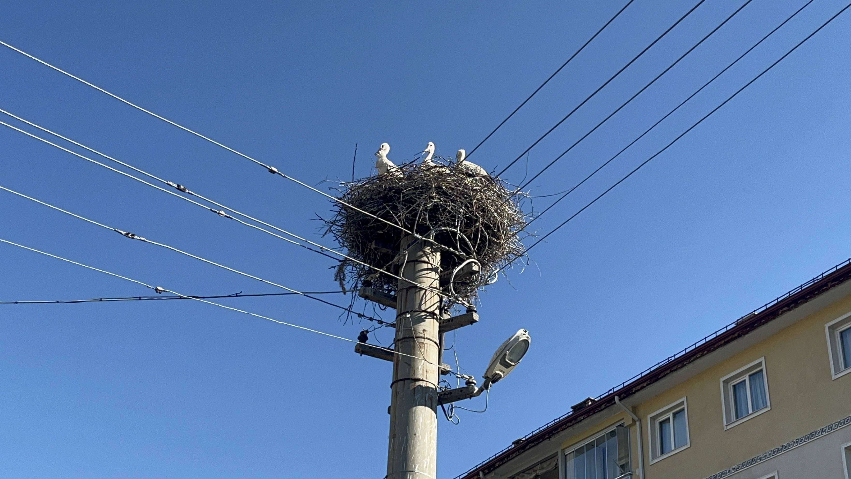 aw778948-03.jpg
