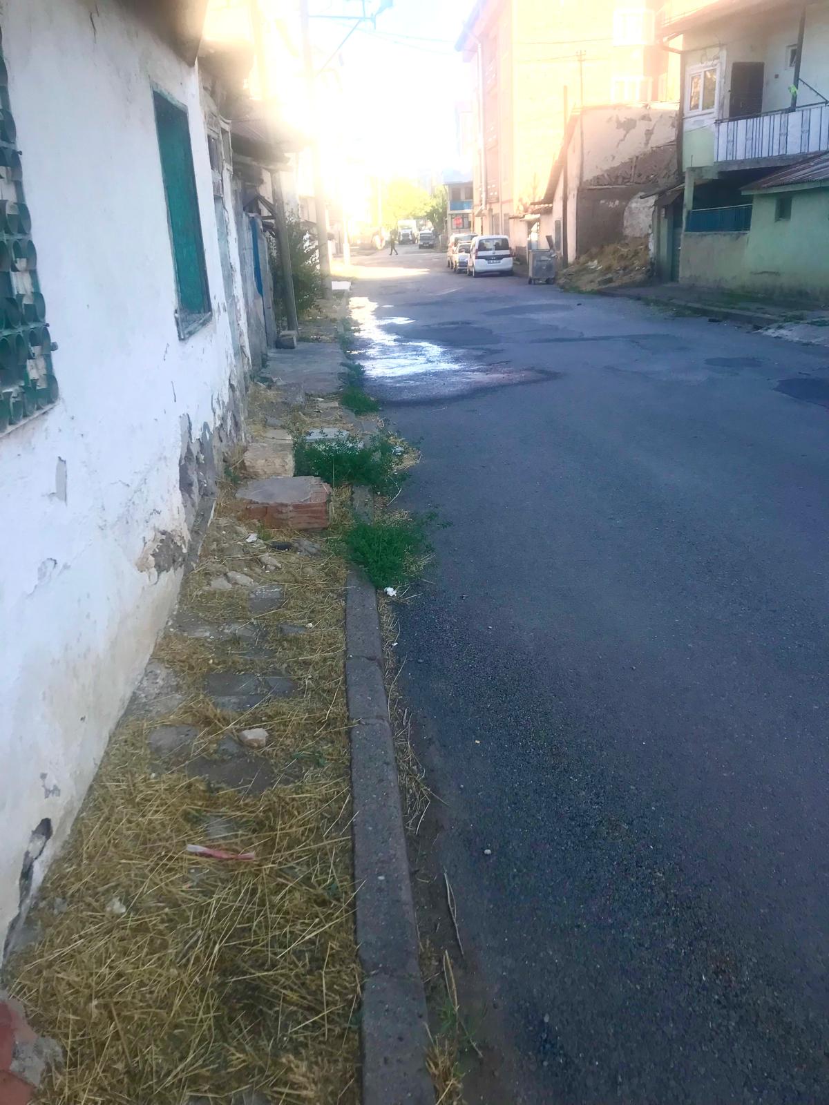 whatsapp-image-2026-09-03-at-10-39-34-3.jpeg