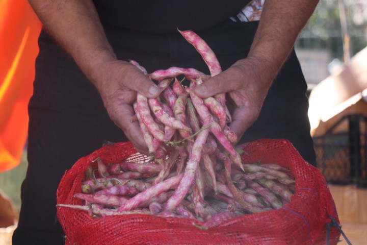 aw788076-09.jpg